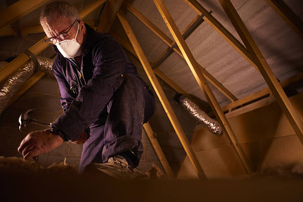 Best Types of Insulation in Trevose, PA